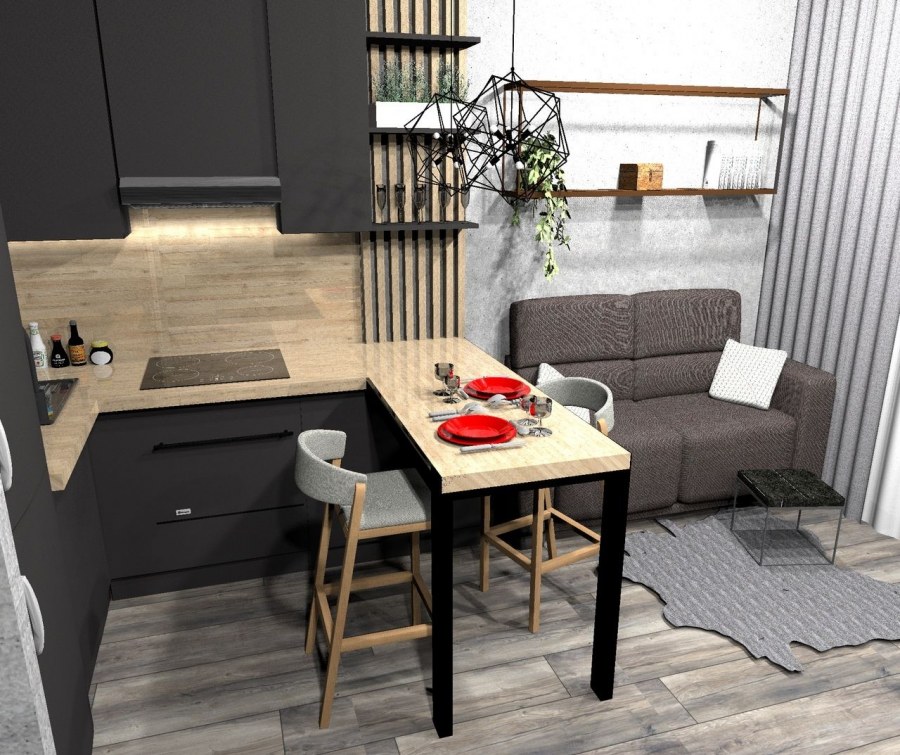 Кухня-гостиная 20 кв.м евродвушка