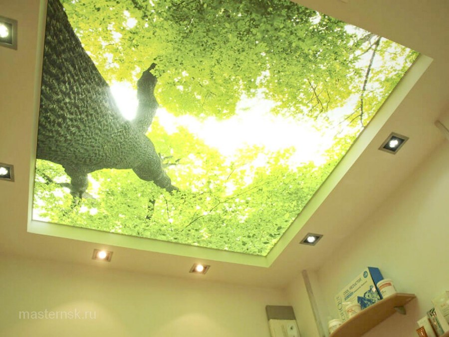 Необычный натяжной потолок в гостиной