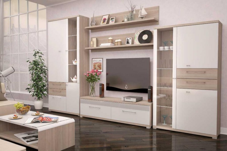 Модульная гостиная Вива-1