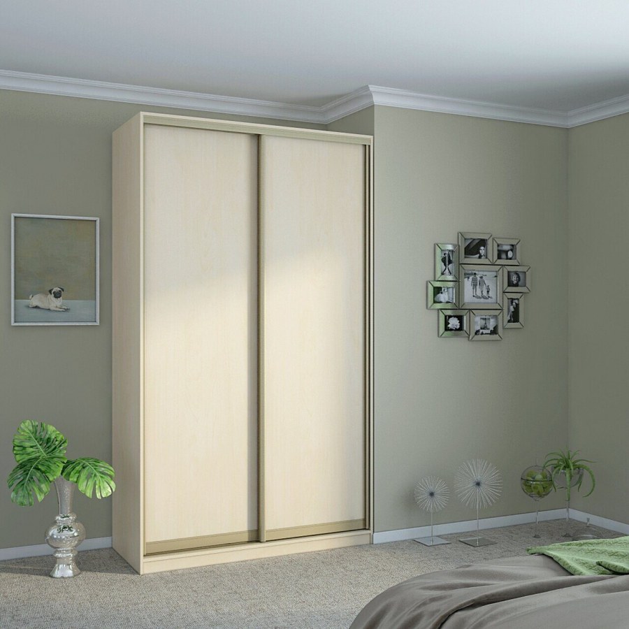 Шкаф-купе Ричард 2300х1600х600 Флитв.бел Деметра