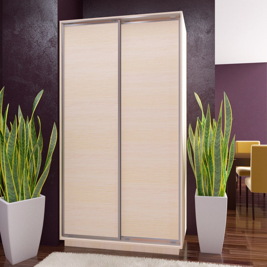 Шкаф-купе двухдверный Ника-1 с зеркалом