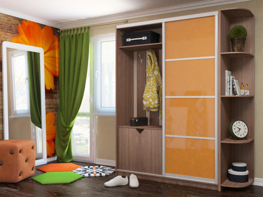 Байкал-Рамир шкаф-купе с мини прихожей