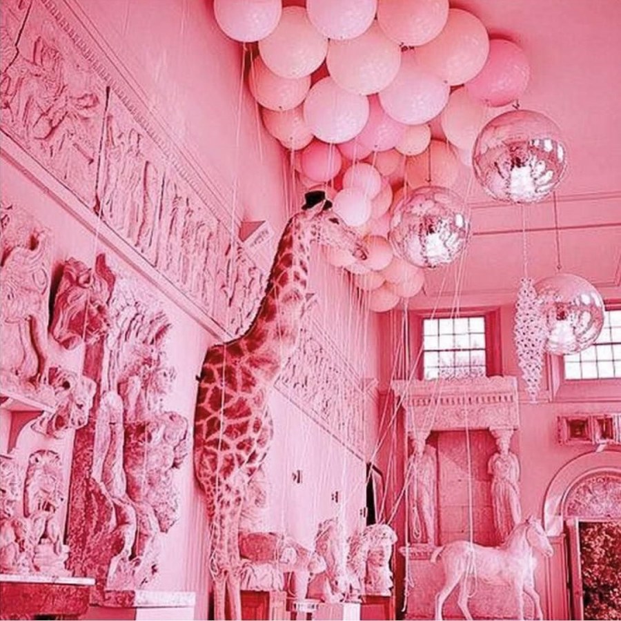 Розовый дом внутри