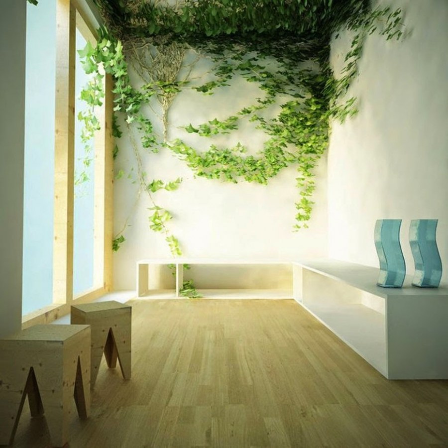 Растения в интерьере