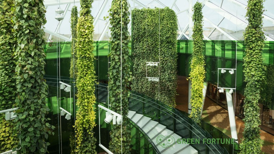 Лиана Грин вертикальное Озеленение