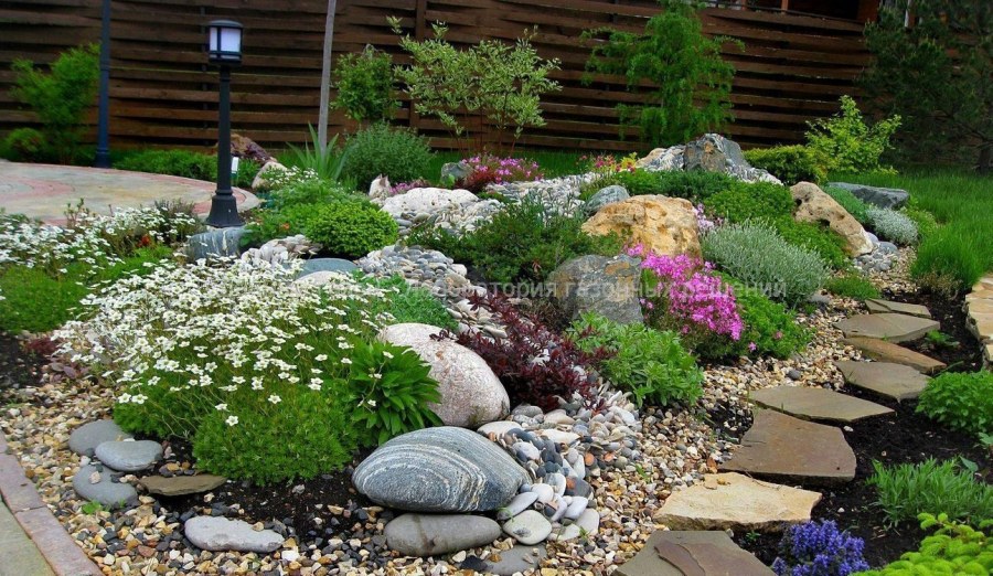 Рокарий горный ручей