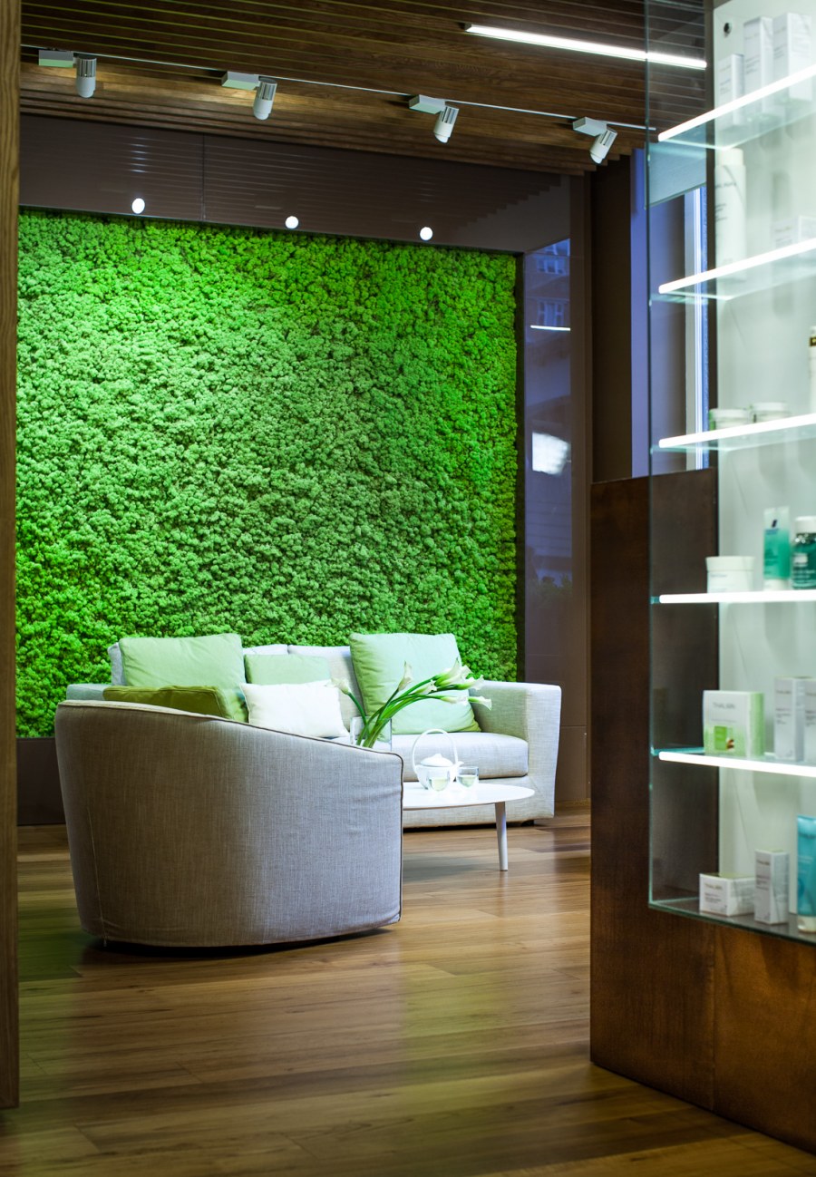 Дерево в интерьере