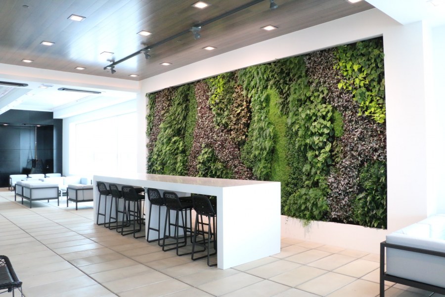 Wicanders exotic Horta