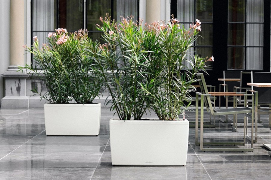 Кашпо Lechuza Cararo