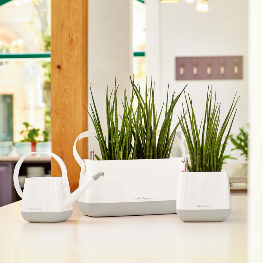 Лейка Lechuza Yula