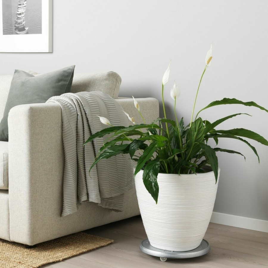 Икеа кашпо напольное