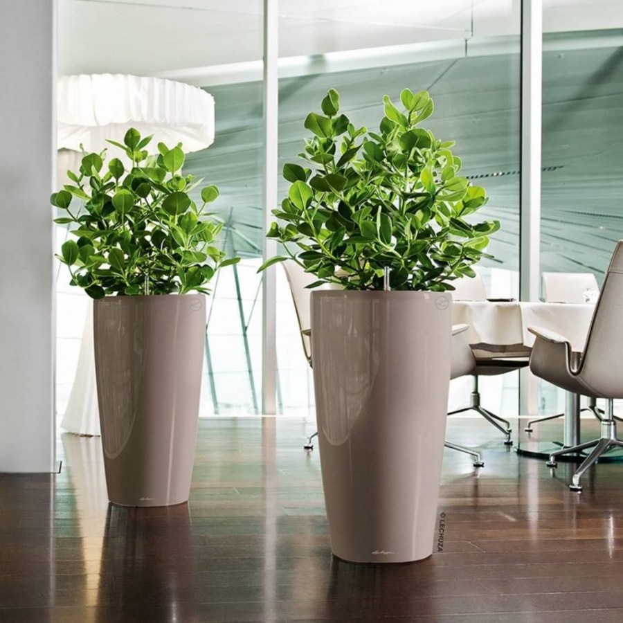 Горшки Lechuza-Rondo-Premium