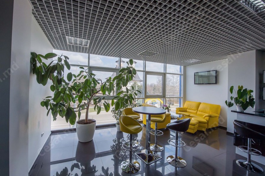 Армстронг Cellio