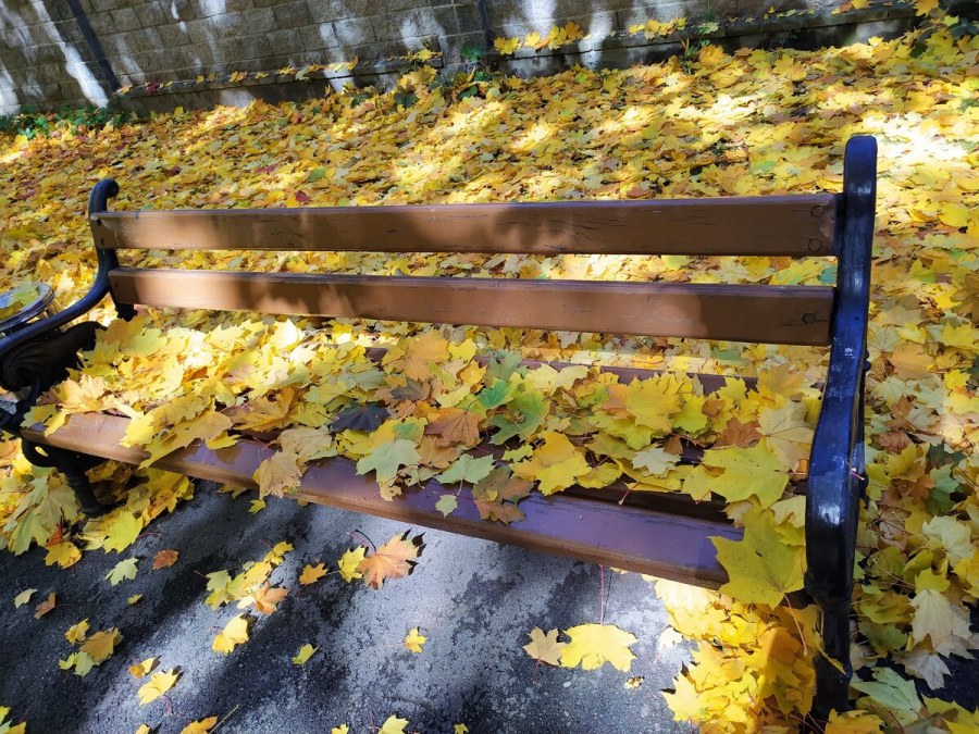 Хвойники чистка