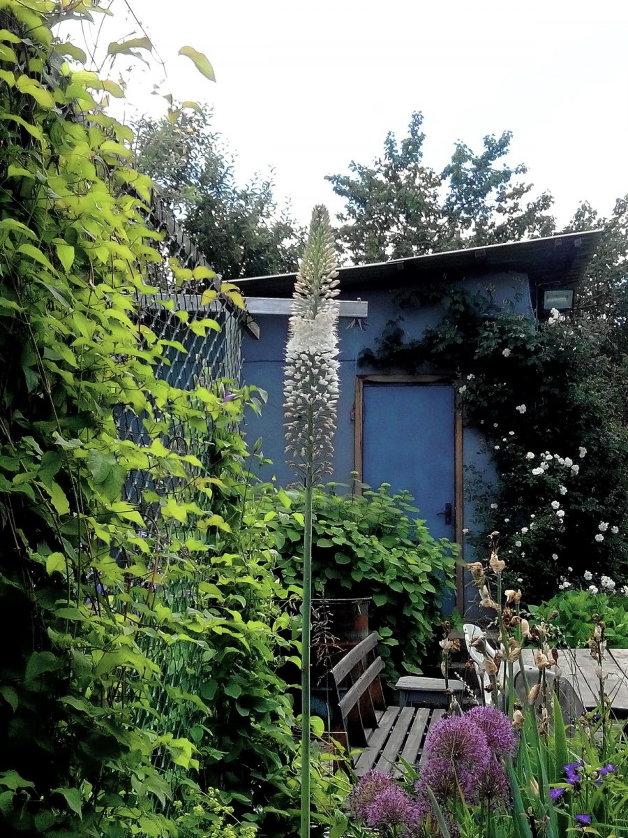 Чешская скалка ландшафт