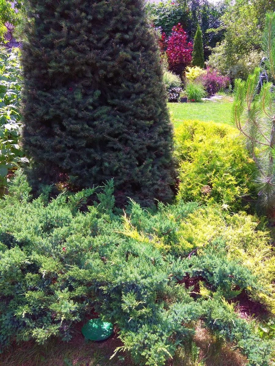 Ландшафт в стиле натургарден