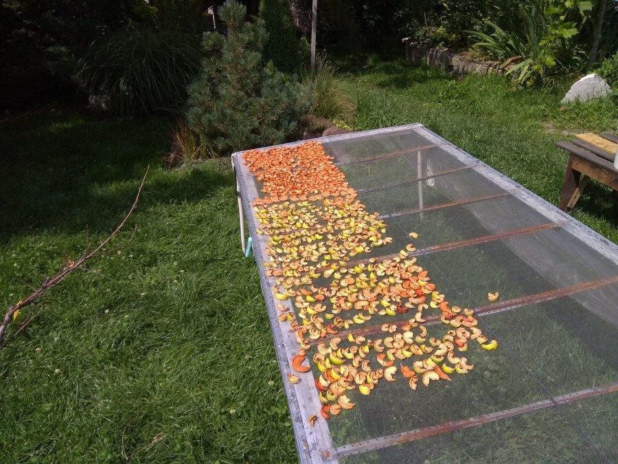 Лесной сад натургарден