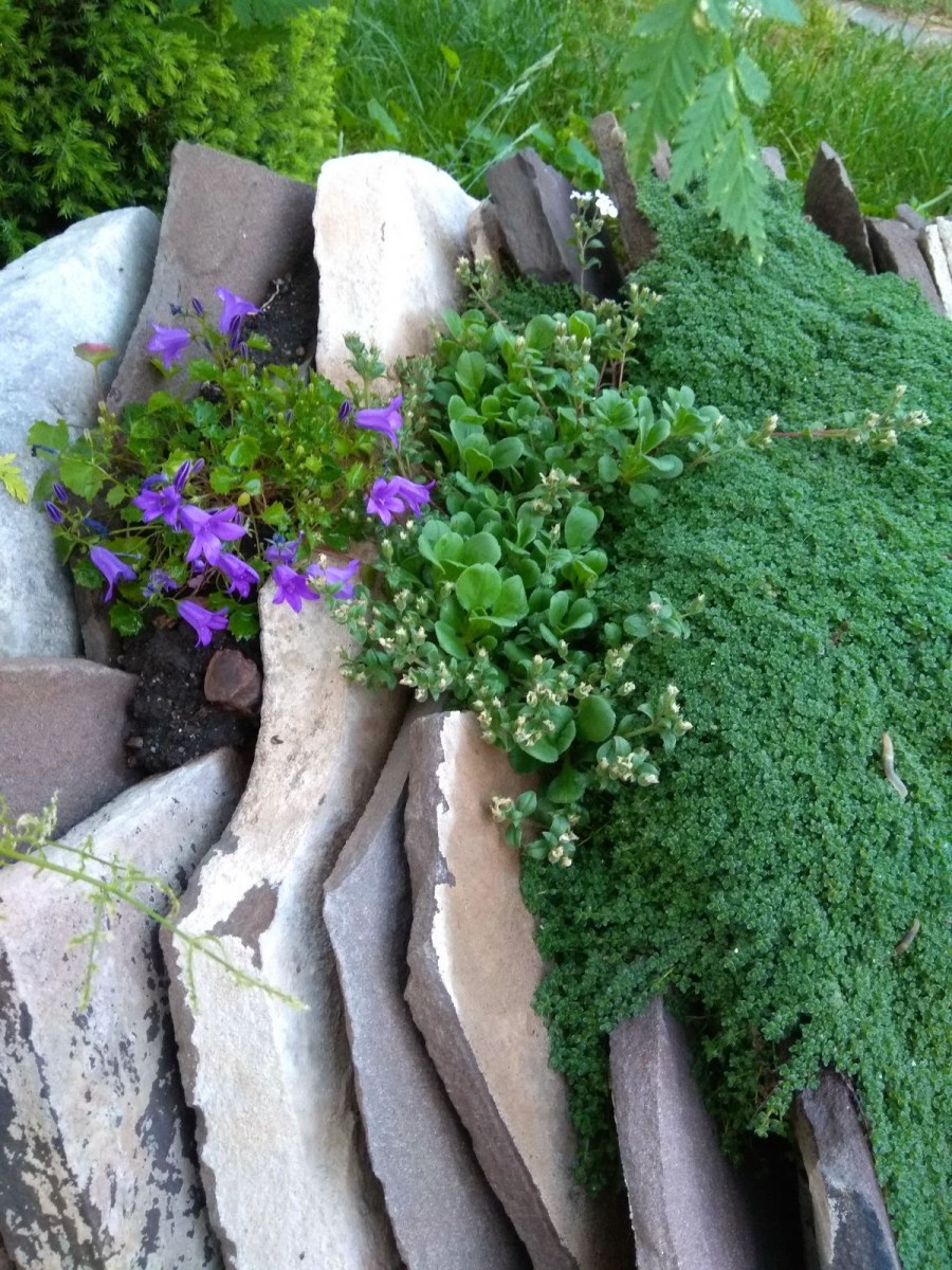 Патрик Уотсон ландшафтный Архитектор