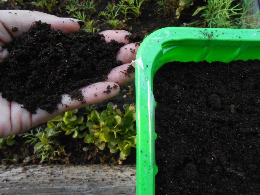 Геопластика холмы