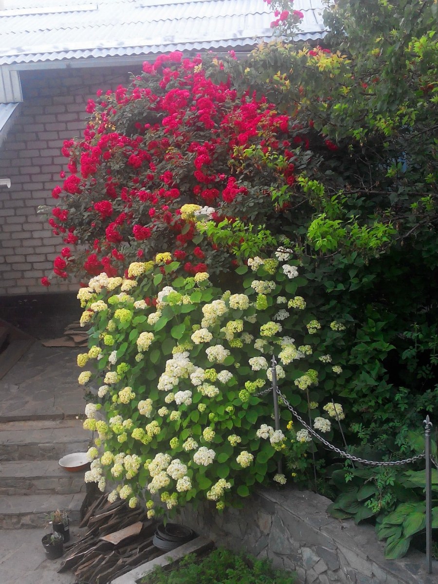 Сенсорный ЭКОСАД