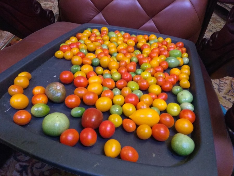 ЭКОСАД Медуница Михайловск