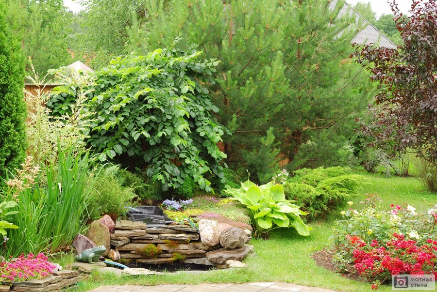 От сорняков