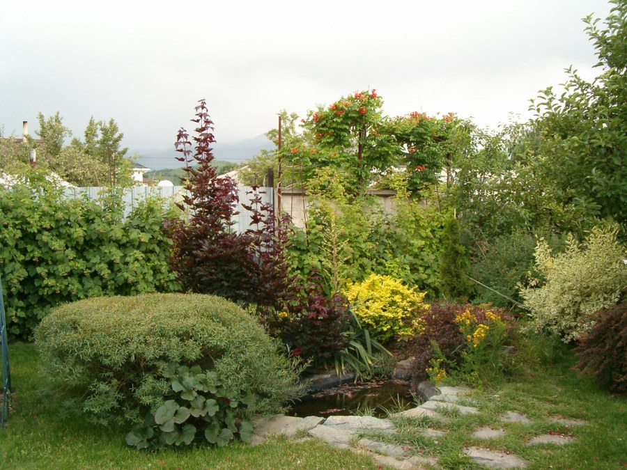 Эко стиль в ландшафте