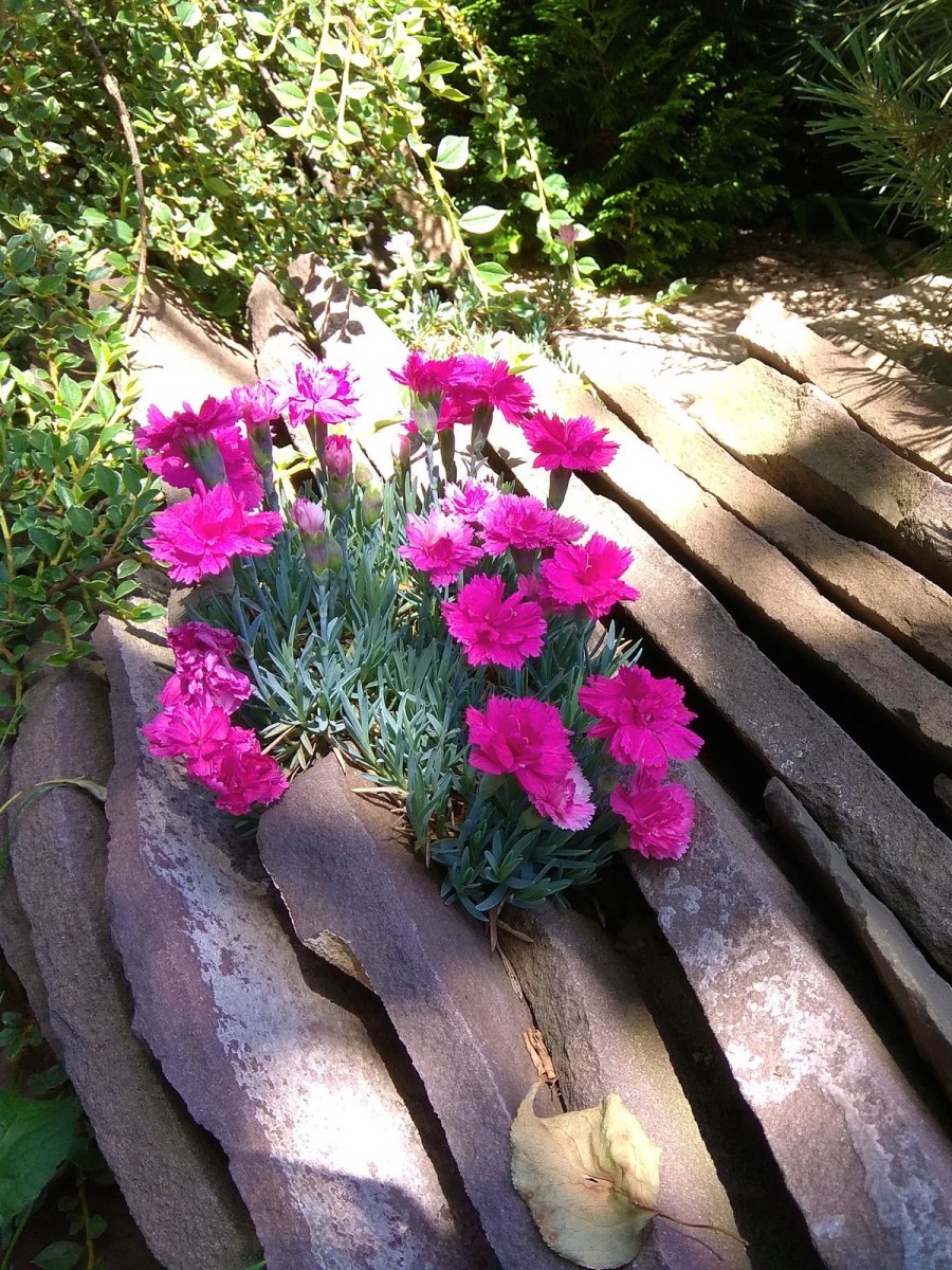 ЭКОСАД защита стволов деревьев набор 5 шт 36х20 см