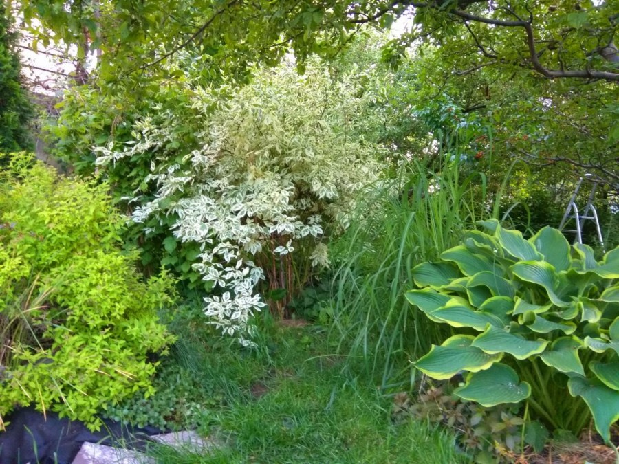 Сад пряных трав и Аптекарский сад лекарственных трав