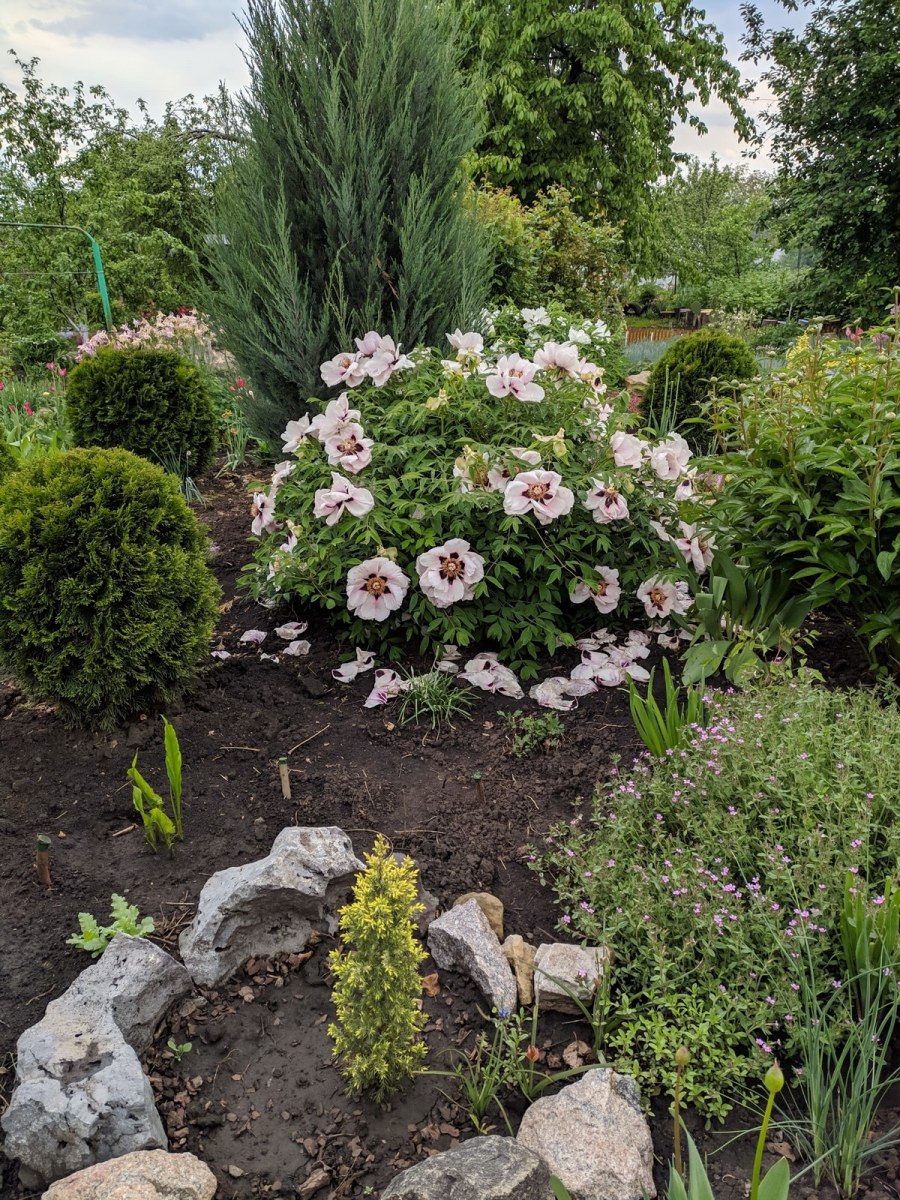 Ландшафтный дизайн ЭКОСАД