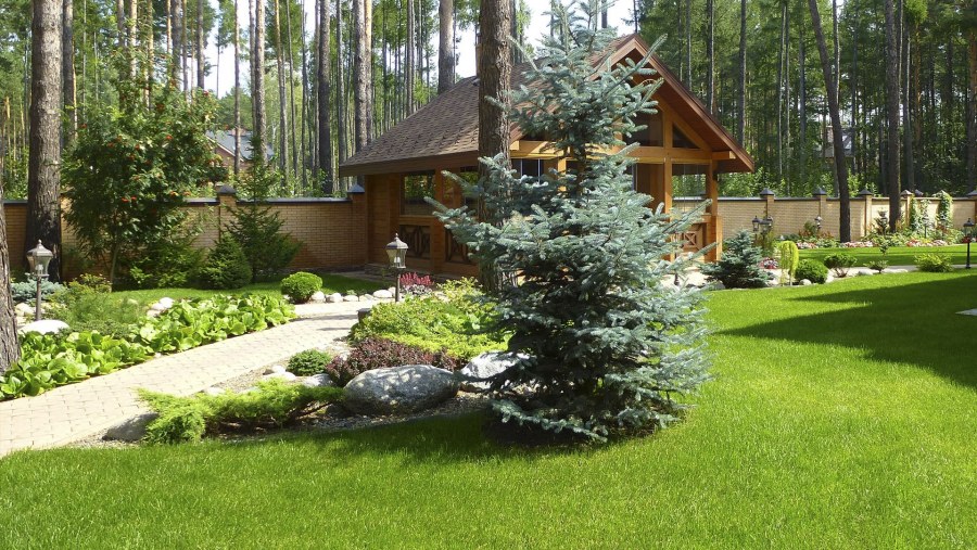 Хелен парк+ ландшафт