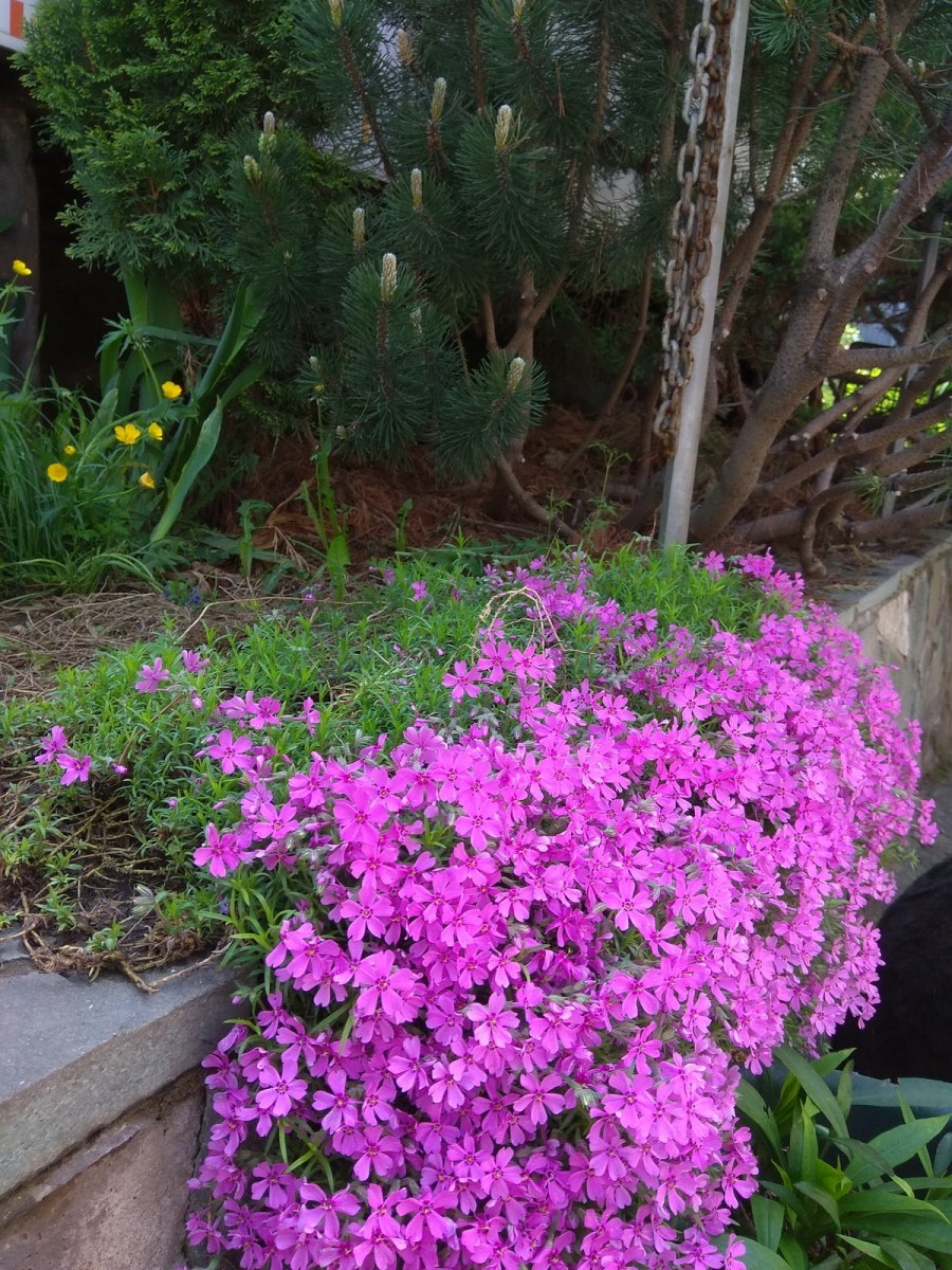 Пруд с крышей