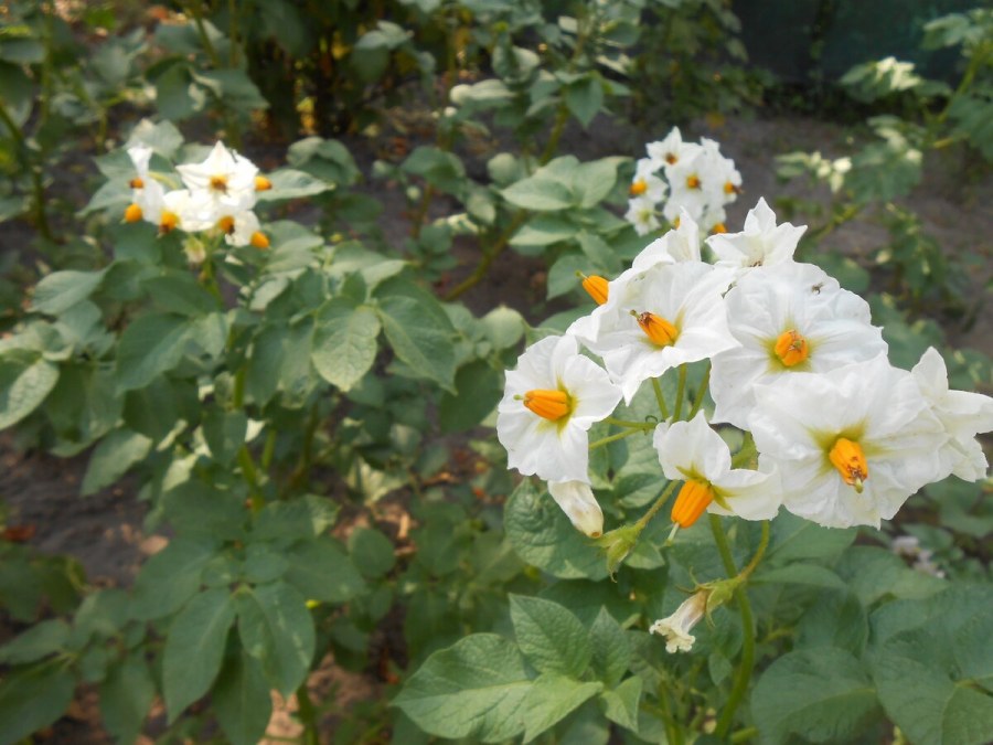 Тропа Екатерининское