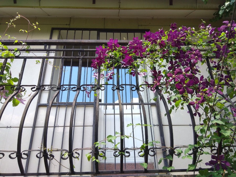 Бордюр ЭКОСАД