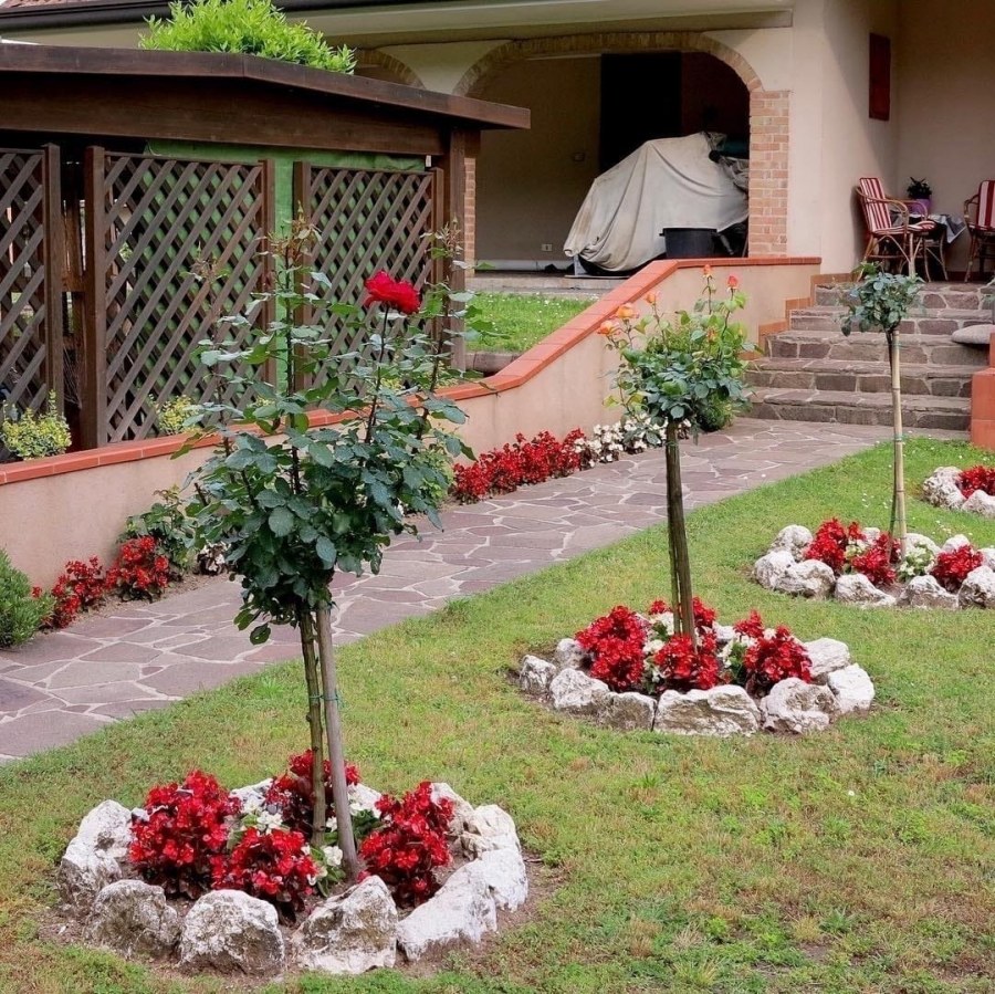 Приствольный круг яблони из кирпича