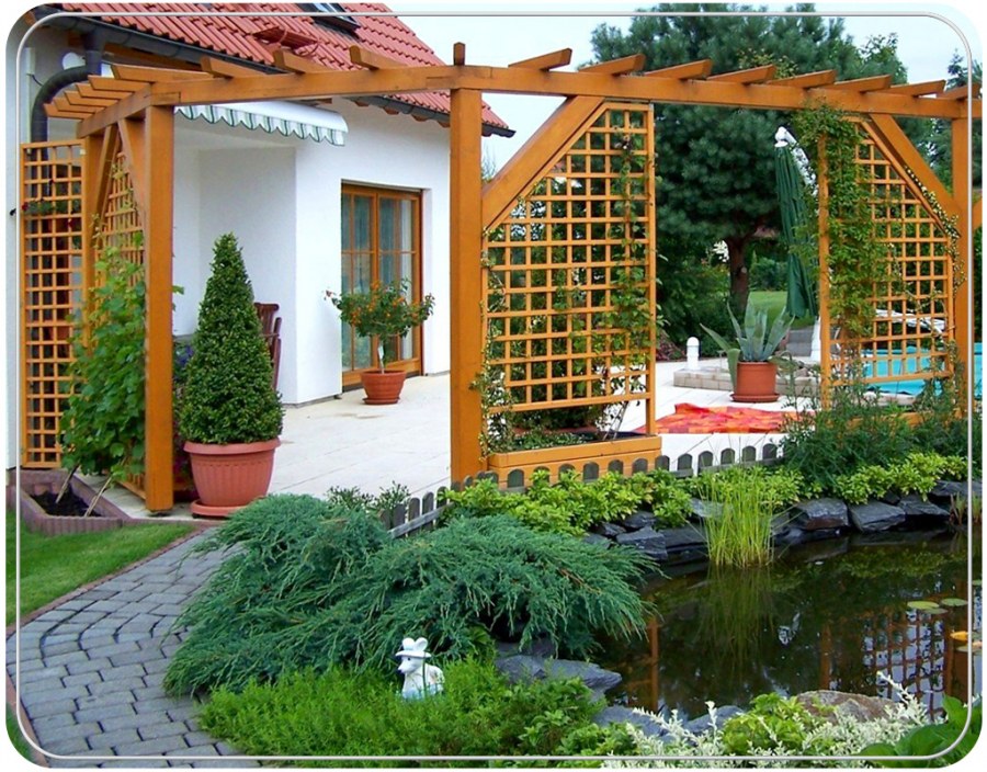 Ландшафт сада и огорода