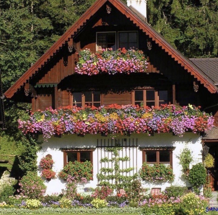 Террасированный рокарий