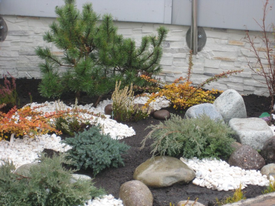 Каменные сады в ландшафте