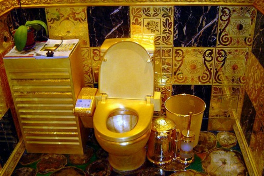 Резиденция Януковича золотой унитаз