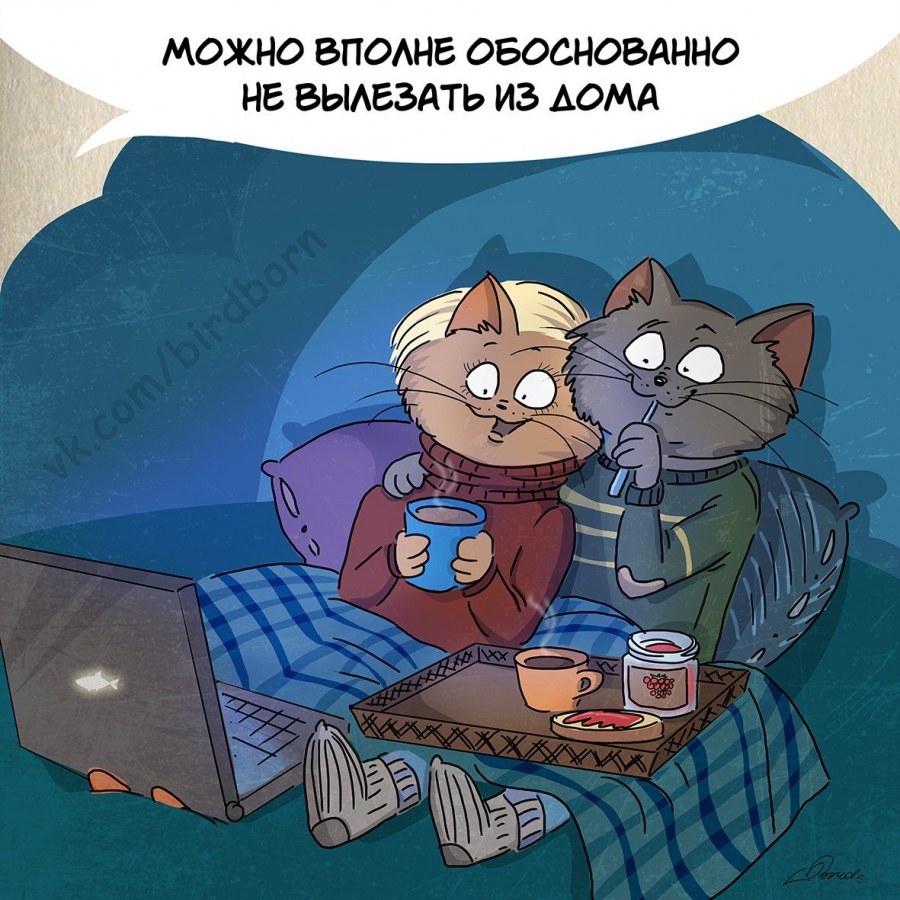 Комиксы с котами Bird born