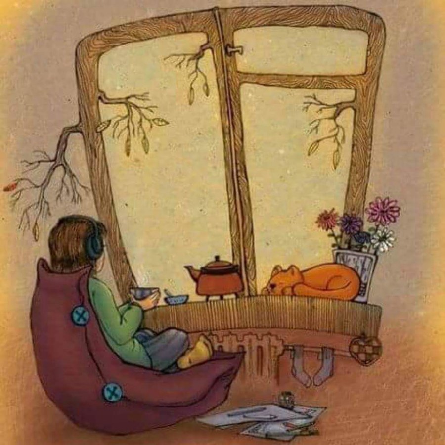 Кот в квартире