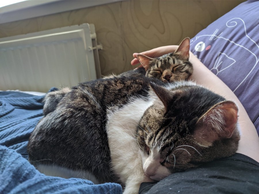 Обнимашки фото