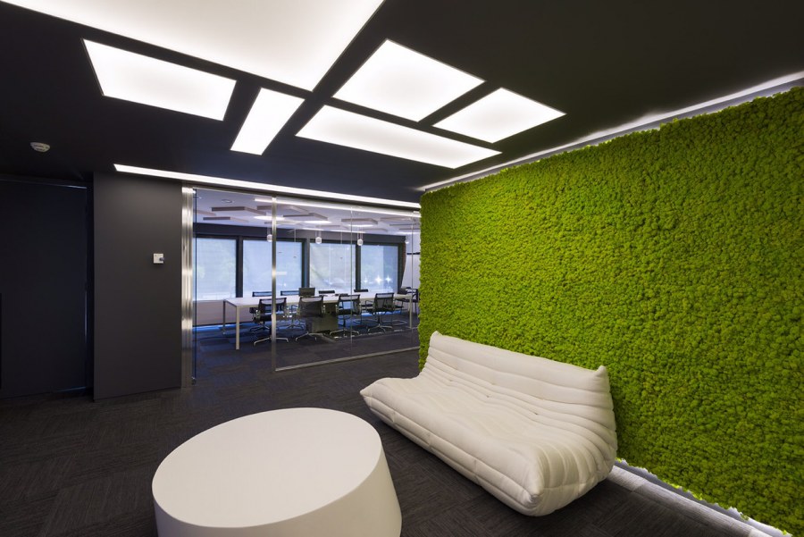 Стабилизированный мох в офисе