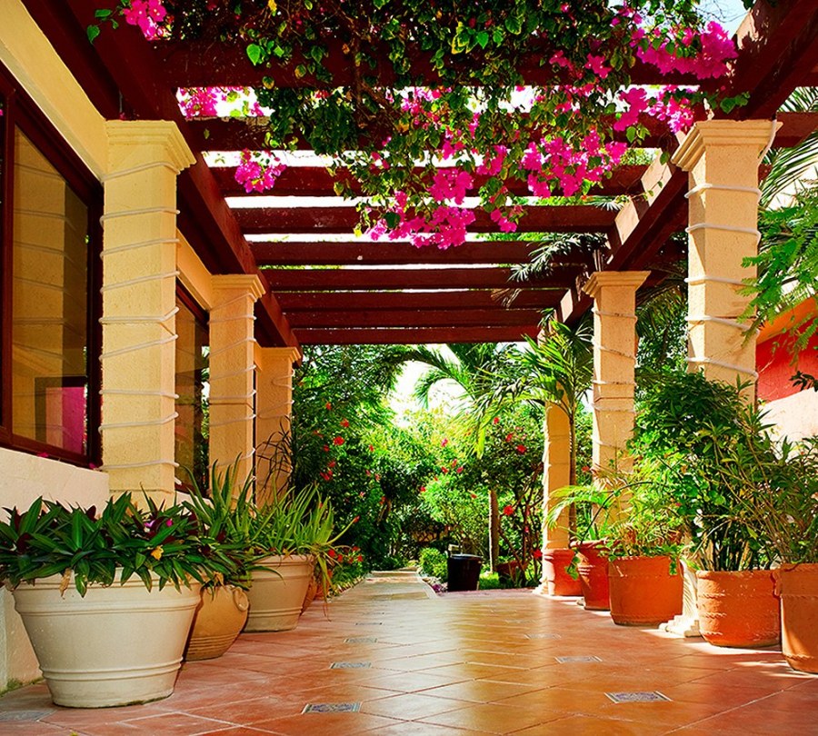 Террас патио газебо