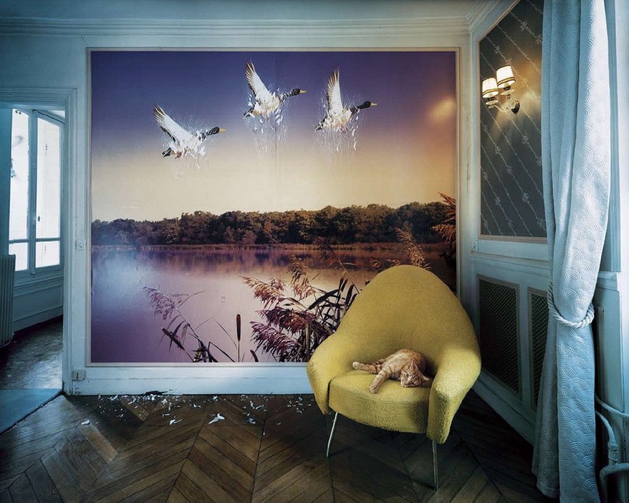 Креативные фотообои на стену