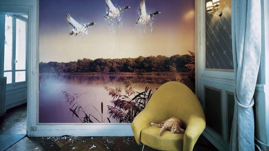 Крутые фотообои в интерьере