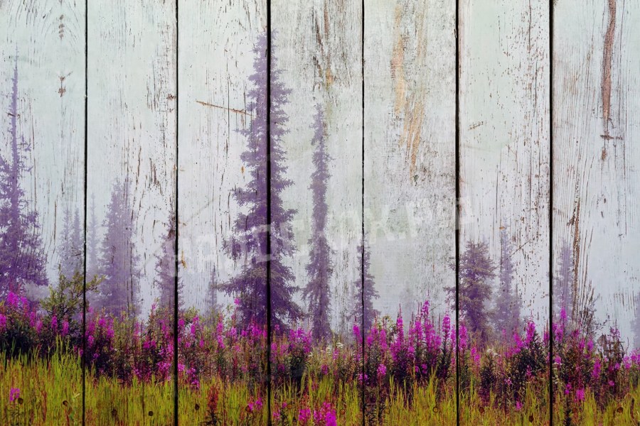 Фиолетовые стены в интерьере