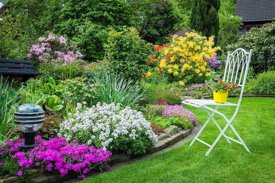 Красивые цветники