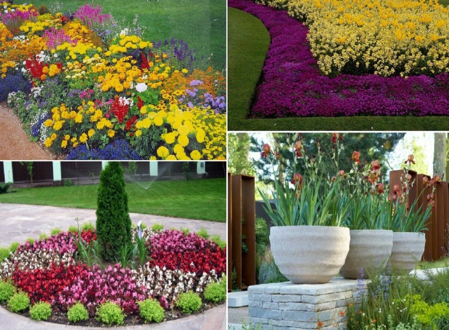 Треугольные клумбы однолетники