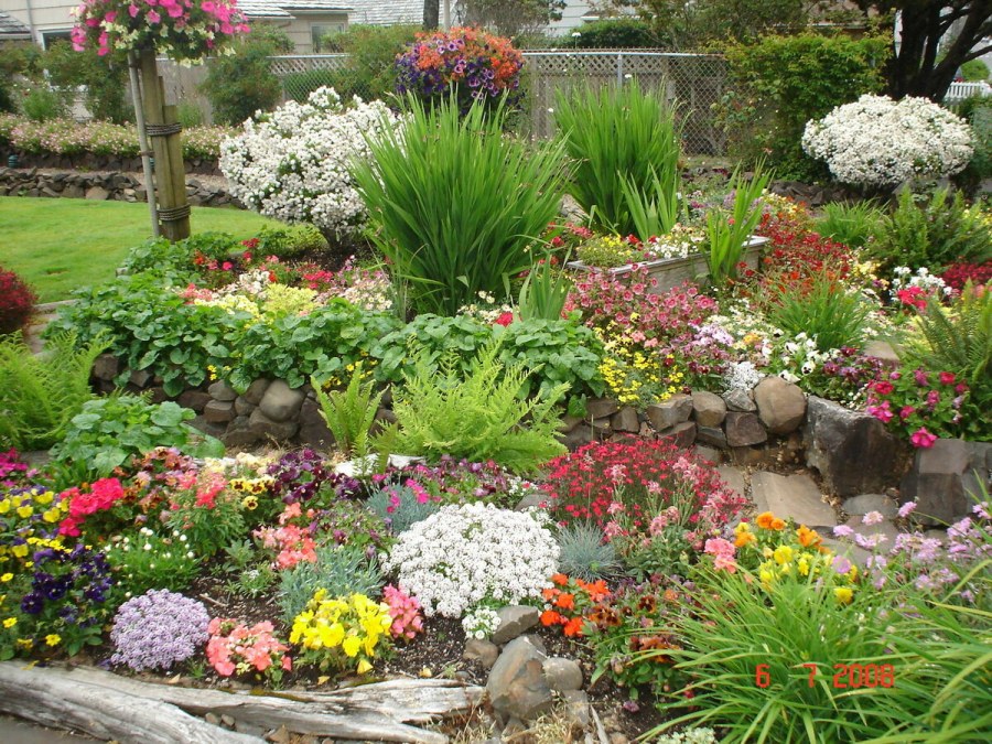 Альпийская лужайка альпинарий